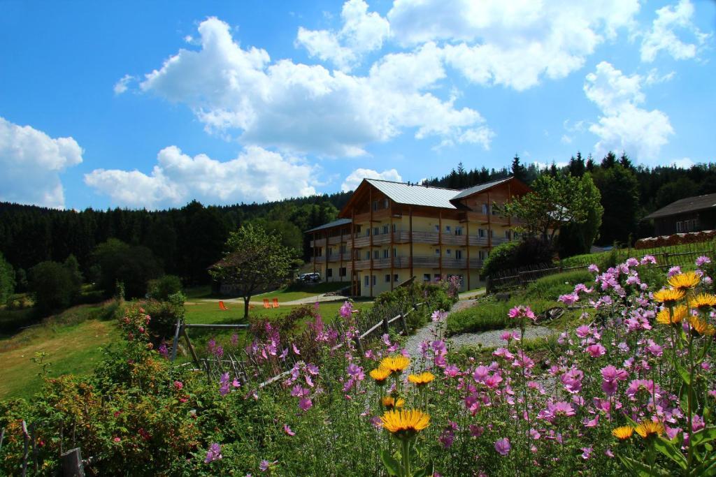 Berghotel Mooshuette Lohberg Esterno foto